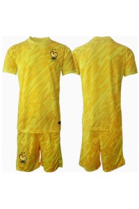 Fotbalové Dres Francie Brankářské Dětské Domácí Oblečení ME 2024 Krátký Rukáv (+ trenýrky)